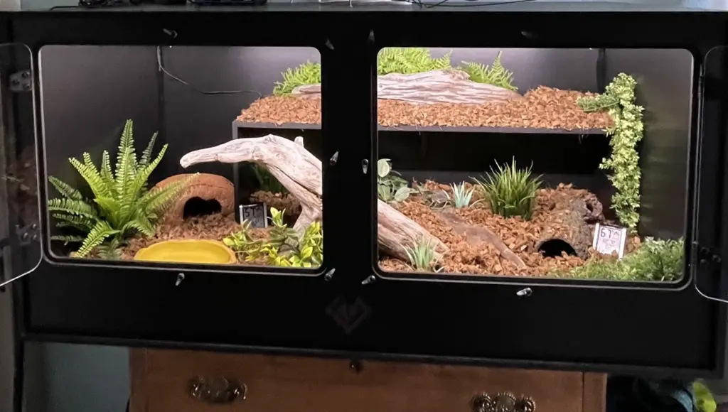blackbox-xt4-black-reptile-enclosure-48x24x24-swing-out-removable-shelf-build.webp