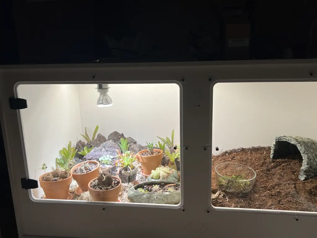 blackbox-xt4-black-reptile-enclosure-48x24x24-plant-grow-lamp-holder.webp