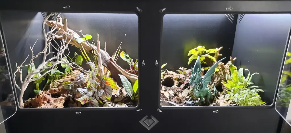 blackbox-xt4-black-reptile-enclosure-48x24x24-bioactive-build.webp