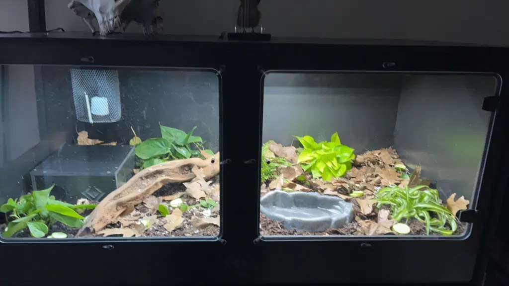 blackbox-xt4-black-reptile-enclosure-48x24x24-lamp-holder-build.webp