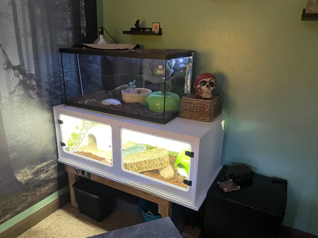 blackbox-xt4-white-reptile-enclosure-48x24x18-build.webp
